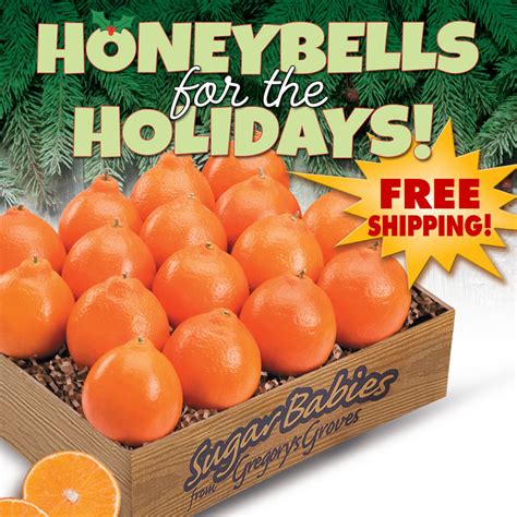 honeybells free shipping|honeybells best pricing free shipping.